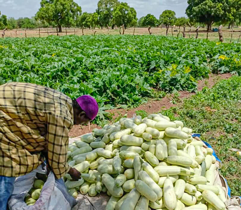 header-secteur-développement-rural-2024-P7_1cd090f6-40fa-4ce7-90ad-02bfb50b20fc-2
